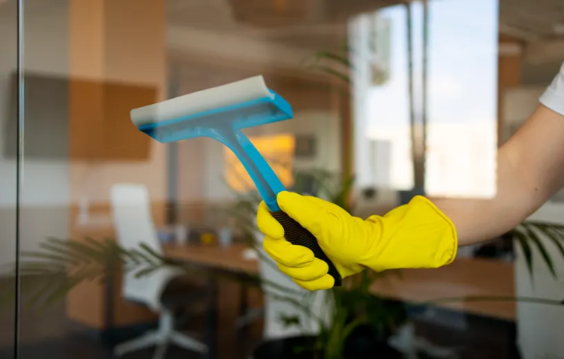 Cleaning Services